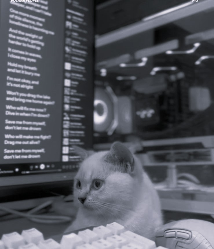Piu